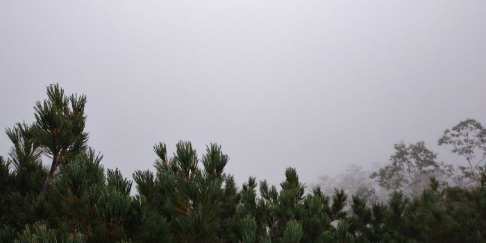 【頂上までの風景】


